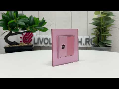 Розетка телевизионная и интернет RJ-45 кат.6 Livolo, 1 пост, цвет розовый VL-C791VC-17