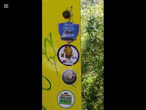 Vamos de bote de bote en Renault 12 Bogotá a guayabetal cundinamarca vamos 