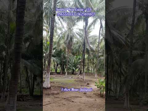  1 Acre Agricultural/Farm Land for Sale in Udumalaipettai, Tirupur