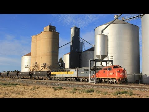 Murray Basin Rail Movements: PN Freight & SSR Grain Train