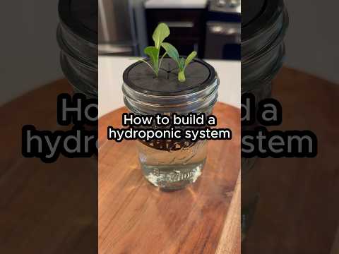 How to build a hydroponic system at home #shorts