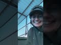 Cat S Fur Gets Messed Up When Cow Licks Her
