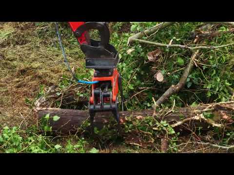 Timber Grabs - Image 2