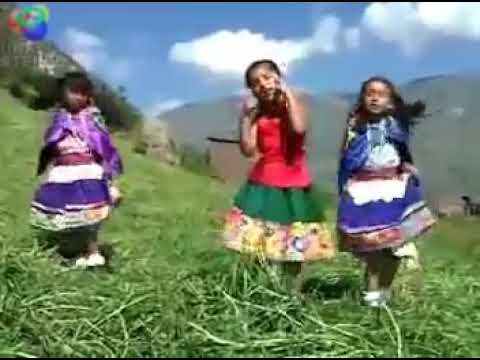 AY MI GATITO 😺 MIAU MIAU