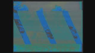 Lettuce vibe wax future modular video synth performance