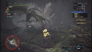 歴戦の君