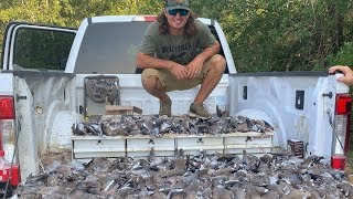 Insane DOVE Hunt On OPENING MORNING! {Catch Clean Cook}