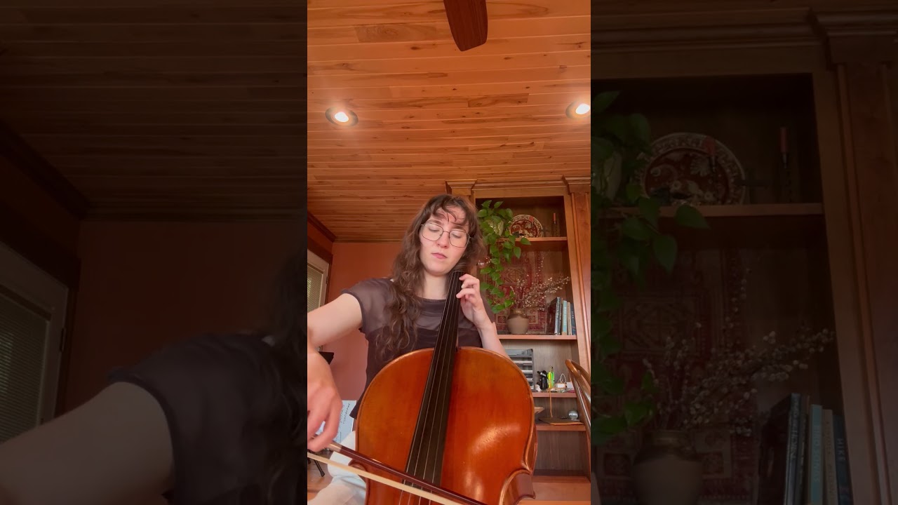 Promotional video thumbnail 2 for Event Cellist - India Enter