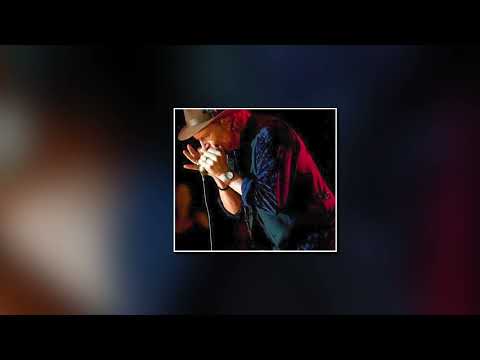 I Can't Hold Out (Talk to Your Baby) - Jimmy Hall with the Nighthawks