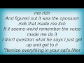 Adam Sandler - Inner Voice Lyrics