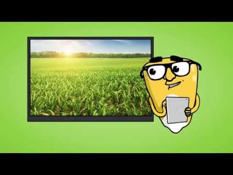 The Life of a Seed - Jake, a GMO Seed