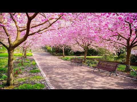 Spring Written By Randall D. Standridge