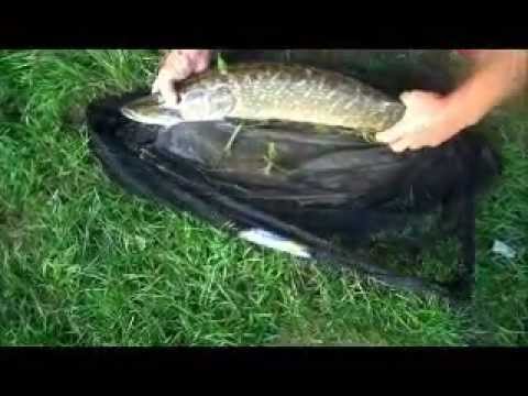DELIVERANCE 3  - CANOE TRIP ON THE RIVER SEVERN PART 8