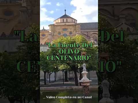 El RINCÓN más HISTÓRICO de CÓRDOBA. #shortsviral