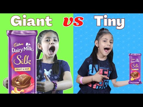Chocolate Story | Moral Story For Kids | Funny Video | The Kamakshi Show