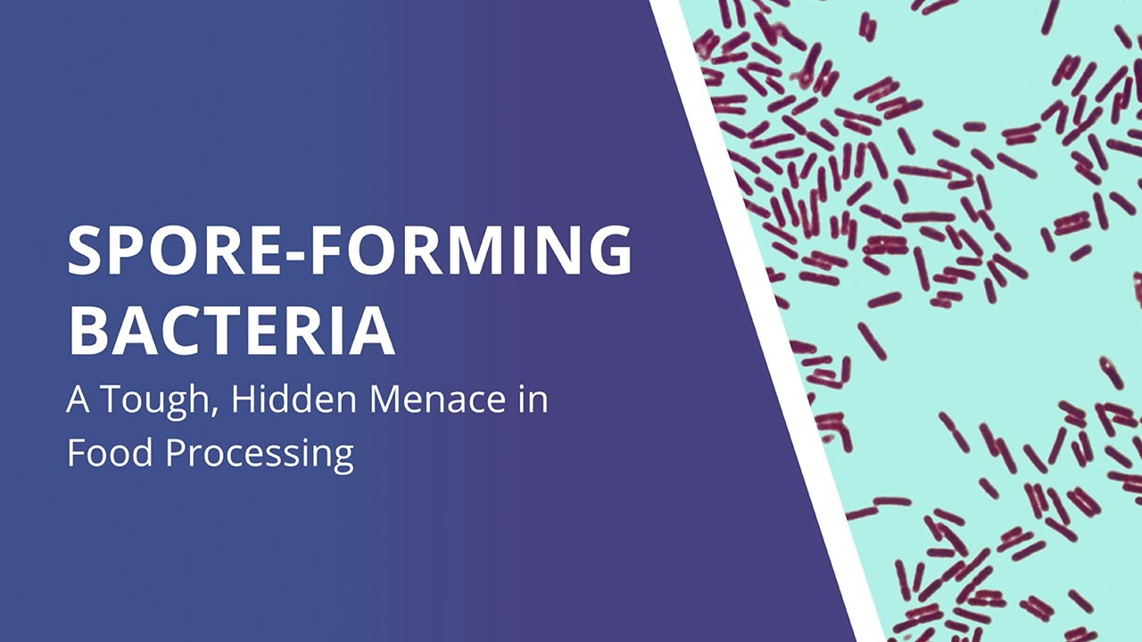 What causes spore formation in food? Tipseri