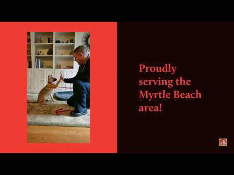 Dog Training In Your Home Myrtle Beach video.