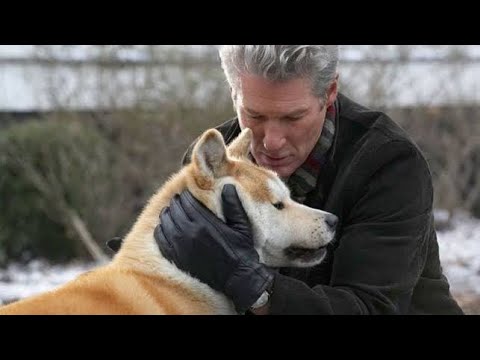 Filme: Sempre ao seu lado - (Baseado em fatos reais)