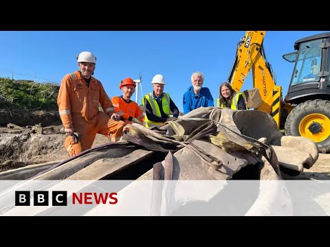 Video | Ten-hour mission to excavate huge whale head in Cornwall, UK | BBC News