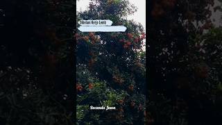 Download lagu aku kerja lembur tapi kamu #shortsvideo #shortsquotes #feedshorts #videoshort #shorts mp3