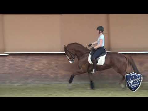 TRAINING PREVIEW- 'FLAVASOME' 3yo Son of Floriscount