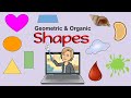 Geometric And Organic Shapes