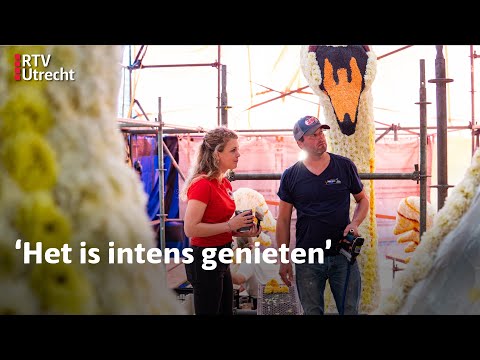 Na maanden werk en ruim een miljoen dahlia's is Leersum klaar voor het bloemencorso  | RTV Utrecht