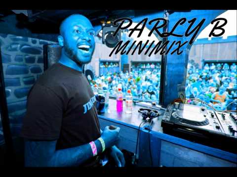 PARLY B (MINIMIX) 2014 (clappy fyah selektah)