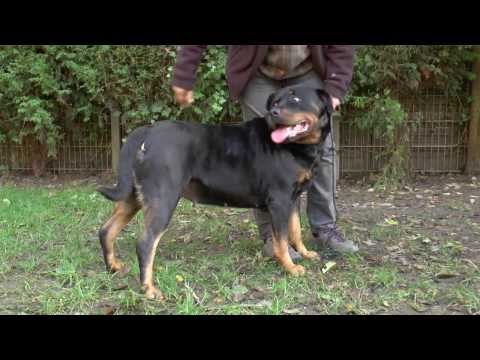 Blick ins Sendegebiet vom 31.10.2013