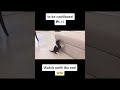 To Be Continued Part 15 Memes Funny Clip
