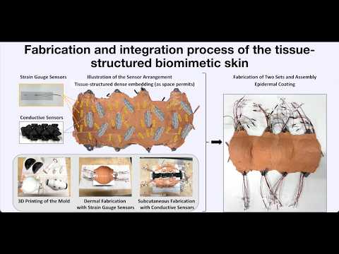 Design of a Biomimetic Joint-Covering Skin with Tissue-Like Structure to Enhance Proprioception in a Musculoskeletal Humanoid