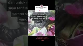 Download lagu HARGA KERIS SEMAR MESEM YANG ASLI mp3