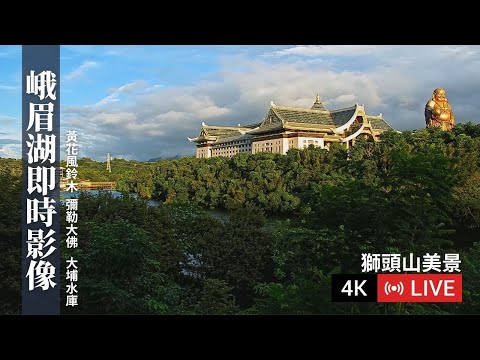 峨眉湖｜黃花風鈴木 | 細茅埔吊橋 | 峨眉湖多功能廣場 | 彌勒大佛｜黃花風鈴木即時花況｜即時花況 - 全景