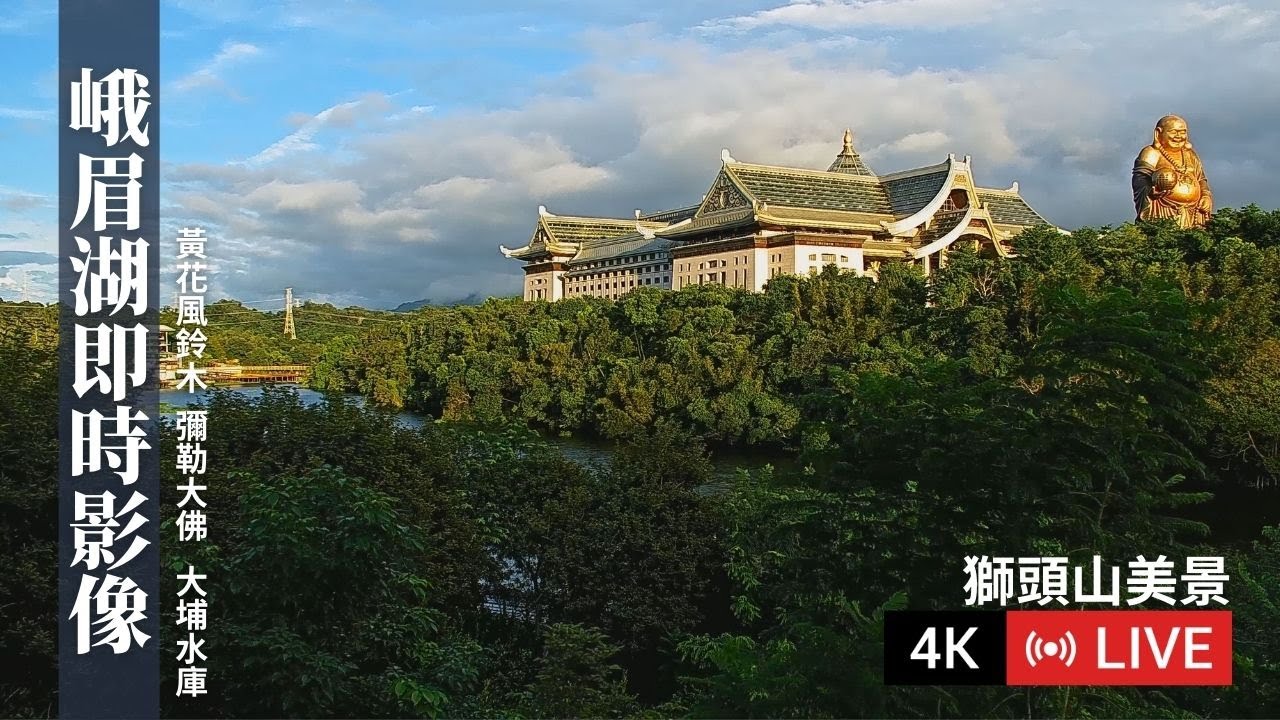 峨眉湖｜黃花風鈴木 | 細茅埔吊橋 | 峨眉湖多功能廣場 | 彌勒大佛｜黃花風鈴木即時花況｜即時花況