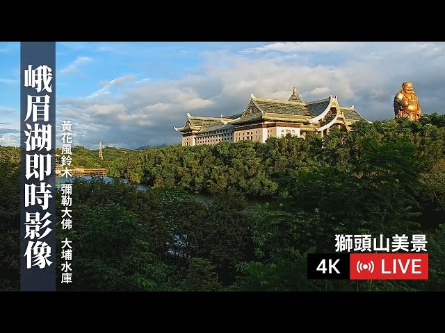 【獅頭山美景4K Live cam】峨眉湖即時影像｜黃花風鈴木 | 細茅埔吊橋 |  峨眉湖多功能廣場 | 彌勒大佛｜黃花風鈴木即時花況｜即時花況