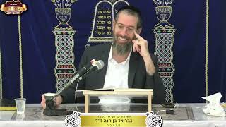 ברכות דף כ"ו ע"א ¤ הרב ישי לסר ¤ כ"ו חשון תשפ"ו (17.11.2025) (מוסדות תורת דוד) - התמונה מוצגת ישירות מתוך אתר האינטרנט יוטיוב. זכויות היוצרים בתמונה שייכות ליוצרה. קישור קרדיט למקור התוכן נמצא בתוך דף הסרטון