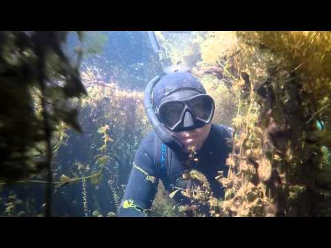 Soła, okolice Oświęcimia