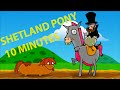 Shetland Pony 10 Minutes 