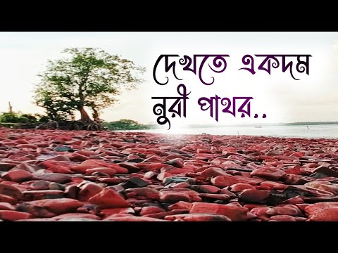 Beautiful place in Patharghata ||Sea beach introduce by ARIF TOUHID