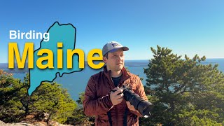 My First Time Birding in Maine!