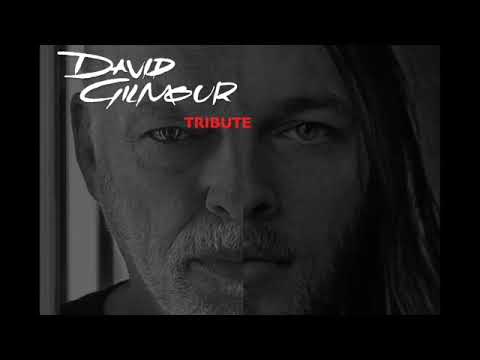 David Gilmour Tribute by Seven Bricks in The Wall
