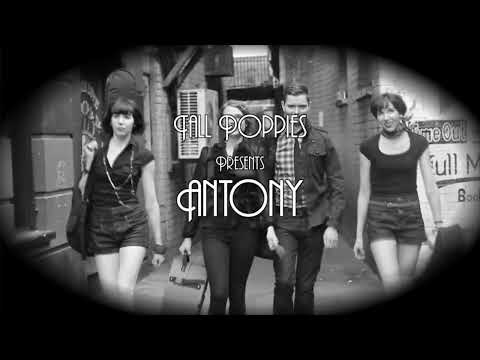 Antony by Tall Poppies