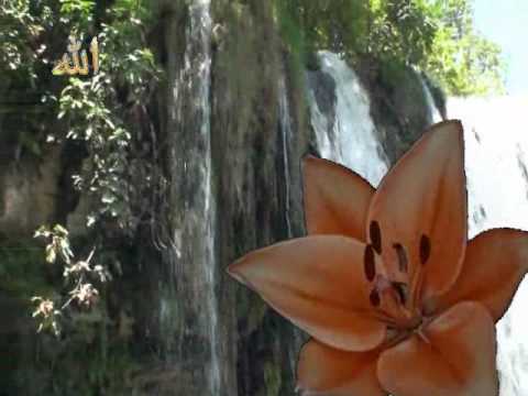 Akif Akkaya - Cürmüm ile Geldim Sana