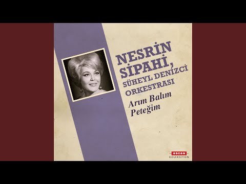 Nesrin Sipahi,Süheyl Denizci Orkestrası - Arım Balım Peteğim cover