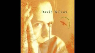 David Wilcox - Turning Point - Spin