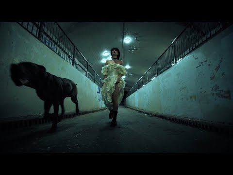Video thumbnail for Animal