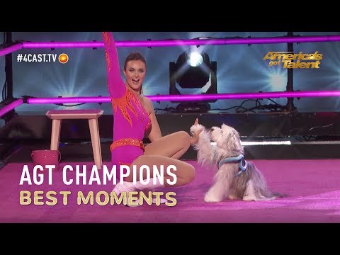 Ashleigh and Sully: The winner of Britain's Got Talent brought paw-some tricks to the stage!