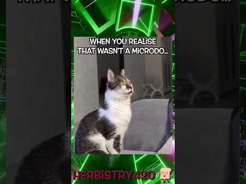 That Wasn't a Microdose: 5 Shocking Signs