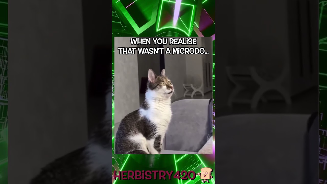 That Wasn't a Microdose: 5 Shocking Signs