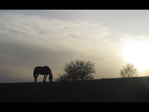 OAMENii din CATUNUL TONEA din JUD.ALBA 13 mai anu pandemiei 2020 PARTEA 7